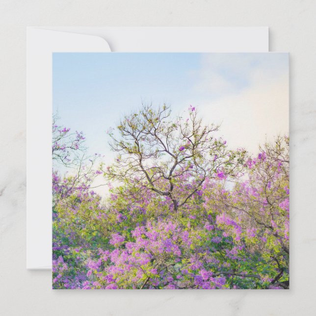 Jacaranda Blossom, dreamy pastel spring Card (Front)