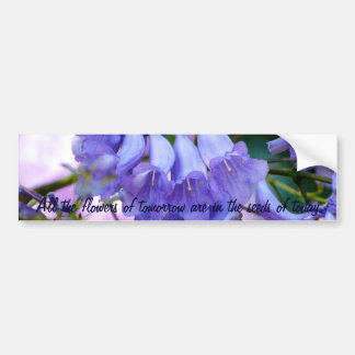 Jacaranda Blossoms Bumper Sticker