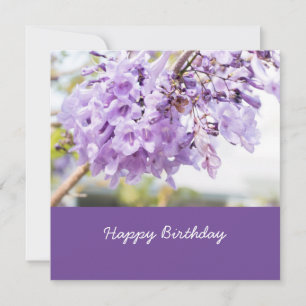 Jacaranda purple flower on Jacaranda tree birthday