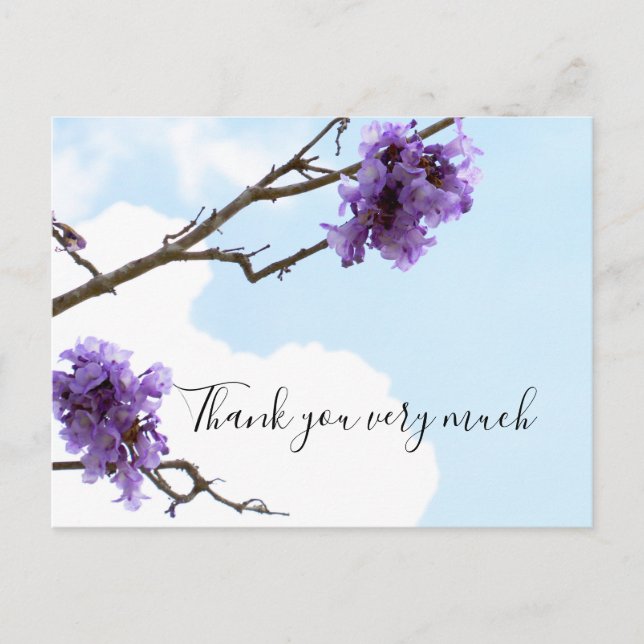 Jacaranda purple flower on the tree Thank You Card (Front)