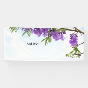 Jacaranda Purple flowers blooming Banner