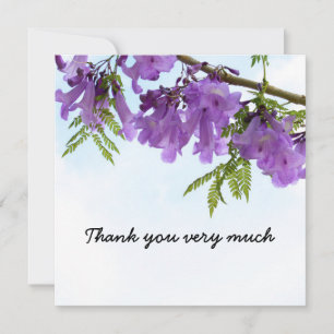 Jacaranda Purple flowers blooming on the tree