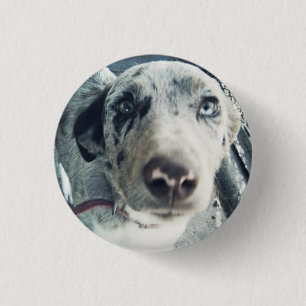 Jack Button