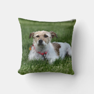 Jack  cushion