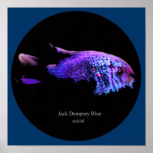 Jack dempsey blue poster