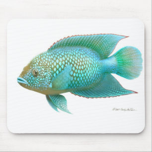 Jack Dempsey Cichlid Fish Mouse Mat
