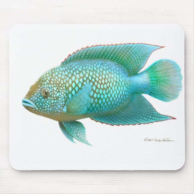 Jack Dempsey Cichlid Fish Mouse Mat (Front)