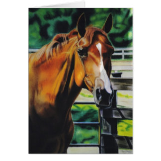 "Jack" equine card