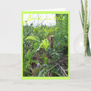 JACK IN THE PULPIT II CARD