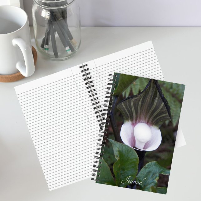 Jack-in-the-Pulpit Plant Botanical Notebook (In Situ)