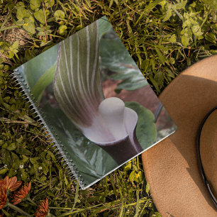 Jack-in-the-Pulpit Plant Floral Notebook