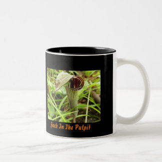 Jack in the Pulpit Two-Tone Coffee Mug