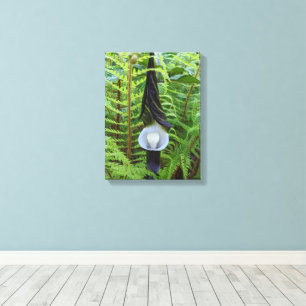 Jack-in-the-Pulpit Woodland Plant Floral Canvas Print