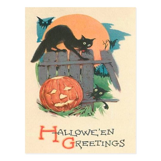 Jack O' Lantern Black Cat Bat Full Moon Postcard