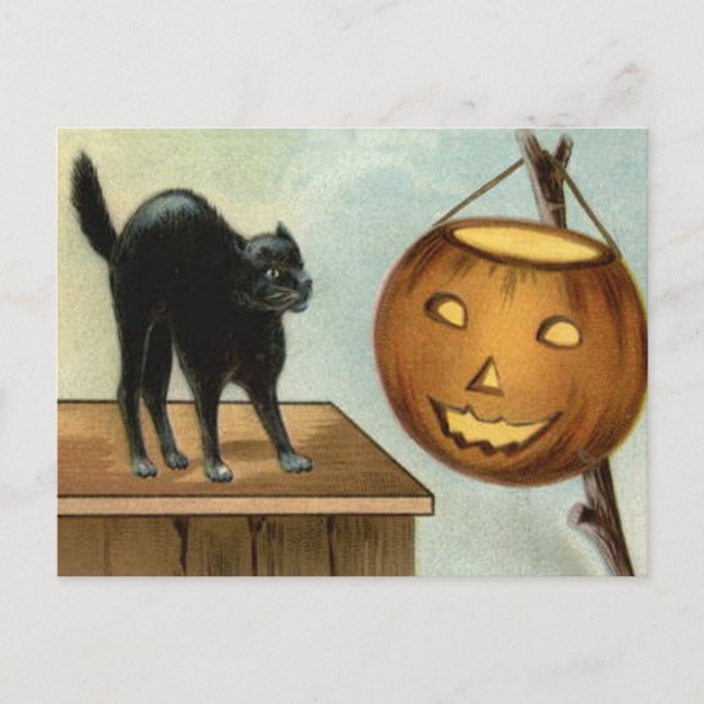Jack O' Lantern Black Cat Pumpkin Postcard (Front)