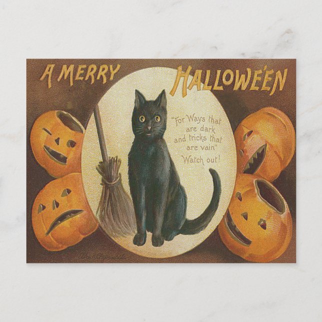 Jack O' Lantern Pumpkin Black Cat Broom Postcard (Front)