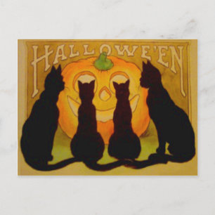 Jack O Lantern Pumpkin Black Cat Postcard