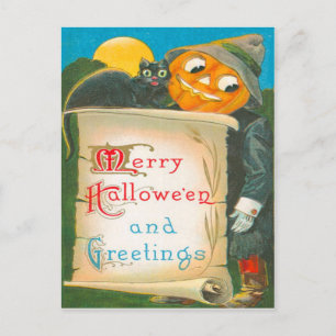 Jack O Lantern Scarecrow Black Cat Postcard