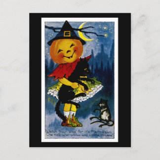 Jack o'Lantern Witch Postcard