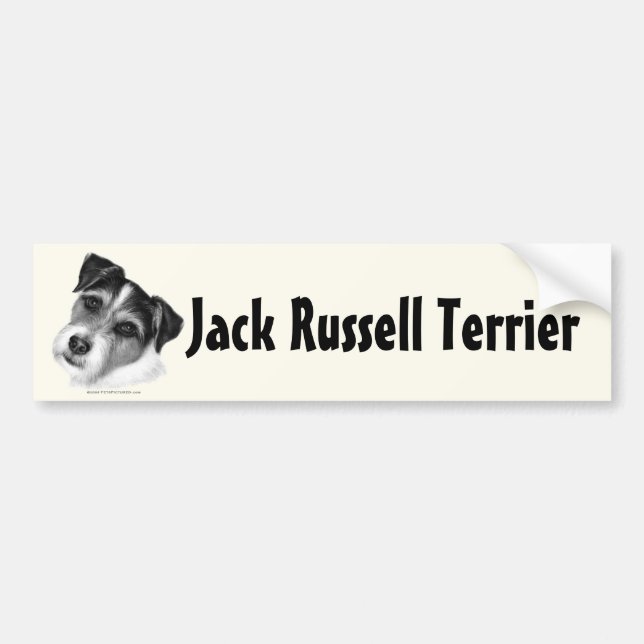Jack (Parson) Russell Terrier Bumper Sticker (Front)