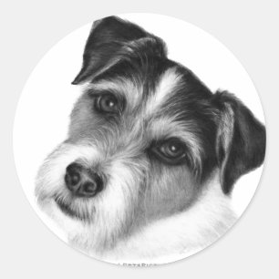 Jack (Parson) Russell Terrier Classic Round Sticker