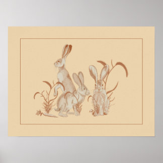 Jack Rabbit and Friends Poster