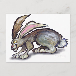 Jack Rabbit Postcard