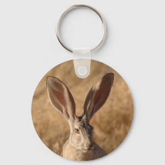 Jack rabbit with large ears color photo keychain