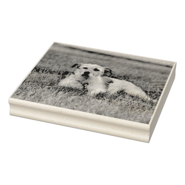 Jack Rubber Stamp (Stamp)