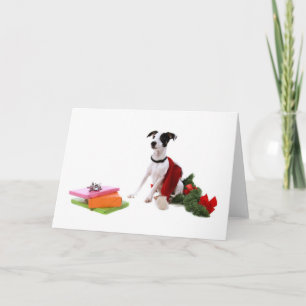 jack russel and Christmas, Holiday Card