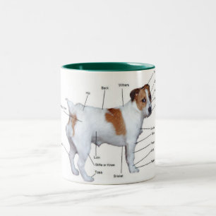 Jack Russel diagram mug. Two-Tone Coffee Mug