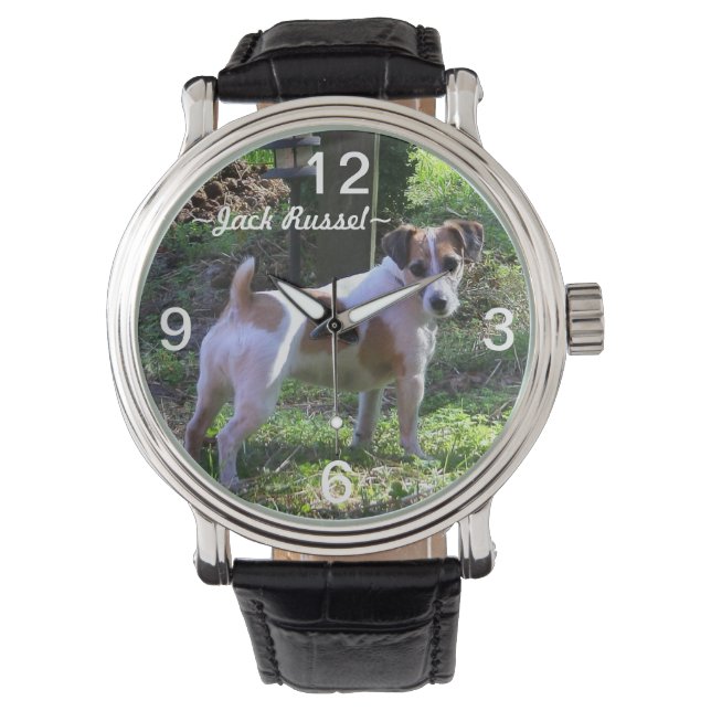 Jack Russel Dog Watch (Front)