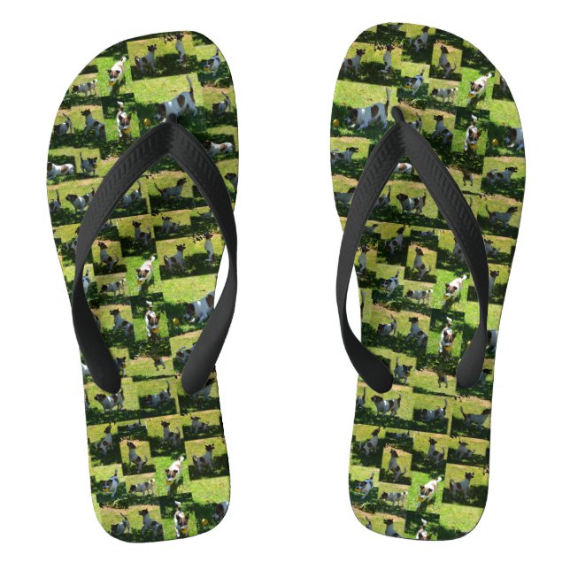 Jack Russel Photo Collage, Flip Flops (Footbed)
