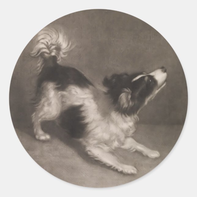 Jack Russel Stickers (Front)