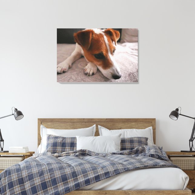 Jack Russel Terier Canvas Print (Insitu(Bedroom))