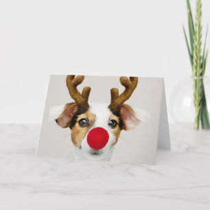 JACK RUSSEL TERRIER AS REINDEER Greeting Card