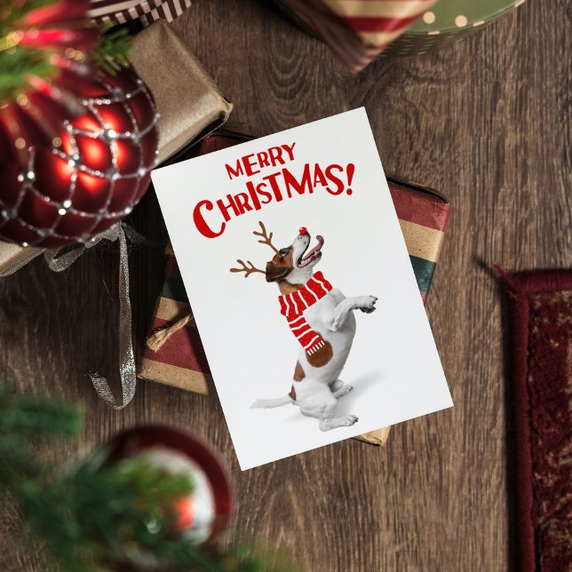 Jack Russel Terrier Dog Red Nose Antlers Xmas Holiday Card (Creator Uploaded)