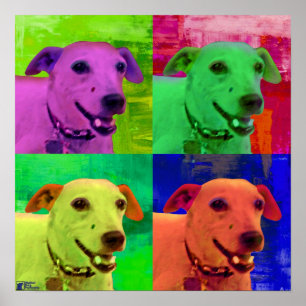 Jack Russel  Terrier Pop Art Poster