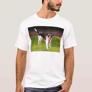 jack russel terrier T-Shirt
