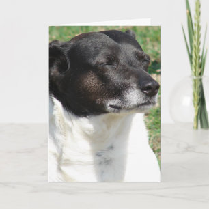 Jack Russel Thinking I Love You Card