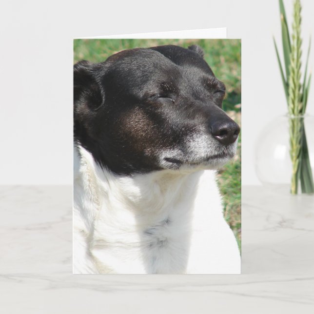 Jack Russel Thinking I Love You Card (Front)