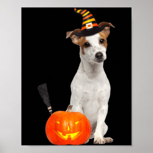Jack Russel Witch Hat Halloween Dog Costume Poster