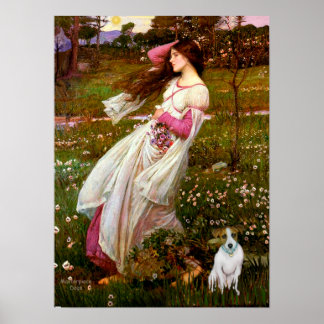 Jack Russell 10 - Windflowers Poster