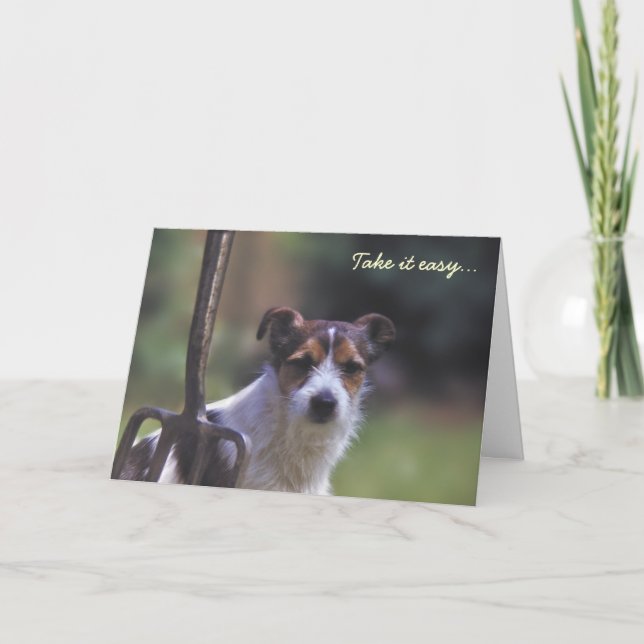 Jack Russell birthday card (Front)