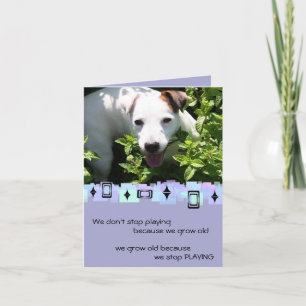 Jack Russell Birthday Greetings Card