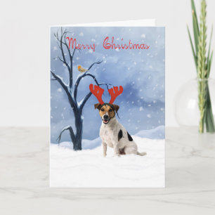 jack russell christmas card - bulldog has reindeer