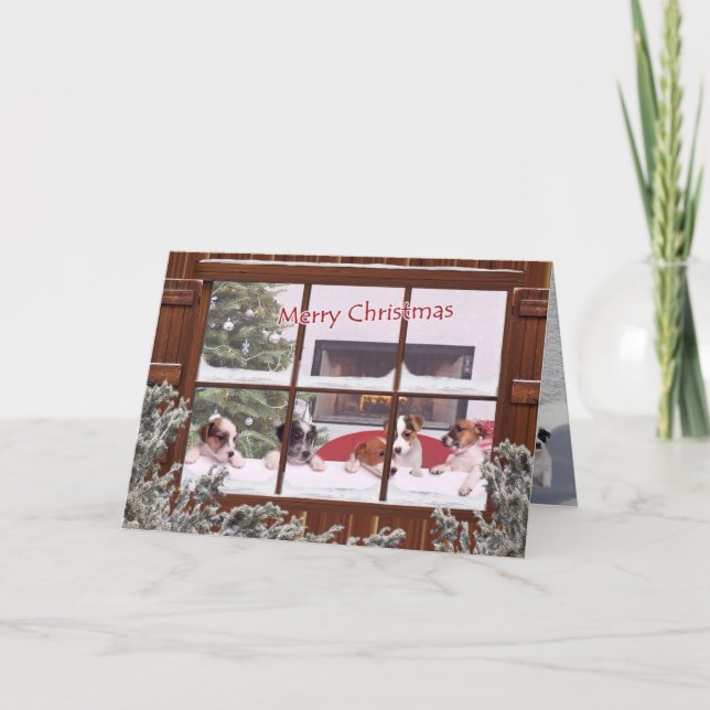 Jack Russell Christmas Wishes Greeting Card (Front)