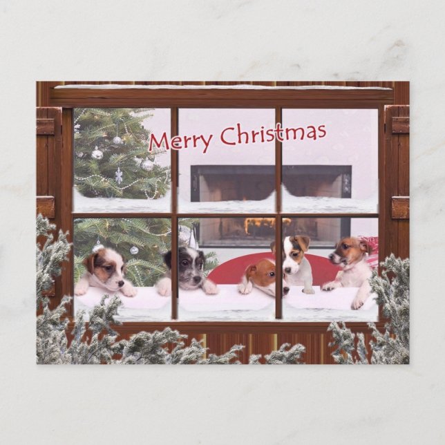 Jack Russell Christmas Wishes Greeting Holiday Postcard (Front)