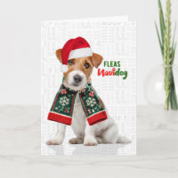 Jack Russell Dog Funny Fleas Navidog Christmas