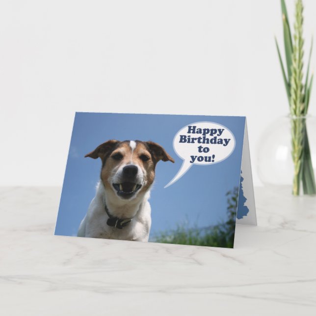 Jack Russell dog Happy Birthday card (Front)